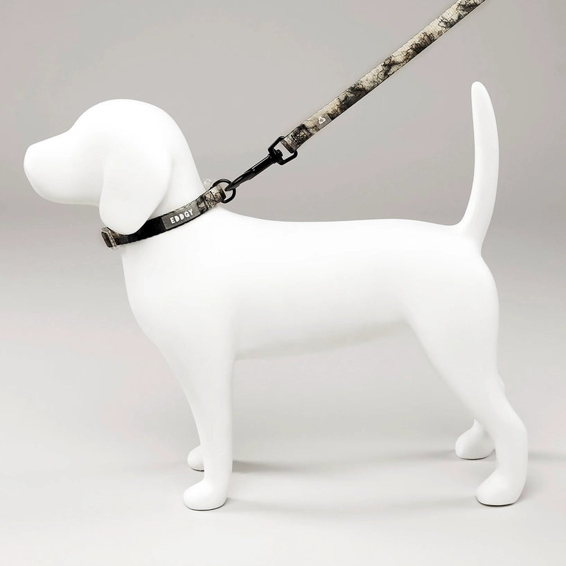 Eddgy Dog Collar - Loki