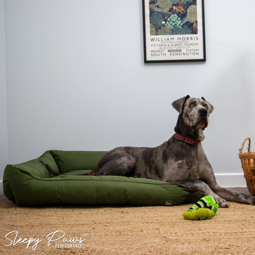 Sleepy Paws Oxford Green Bed