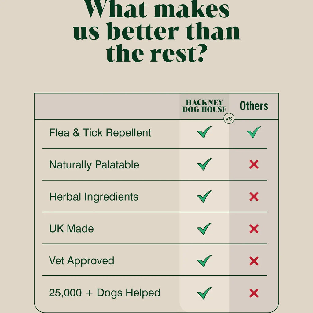 Natural Flea and Tick Powder For Dogs | Herbal Repellent