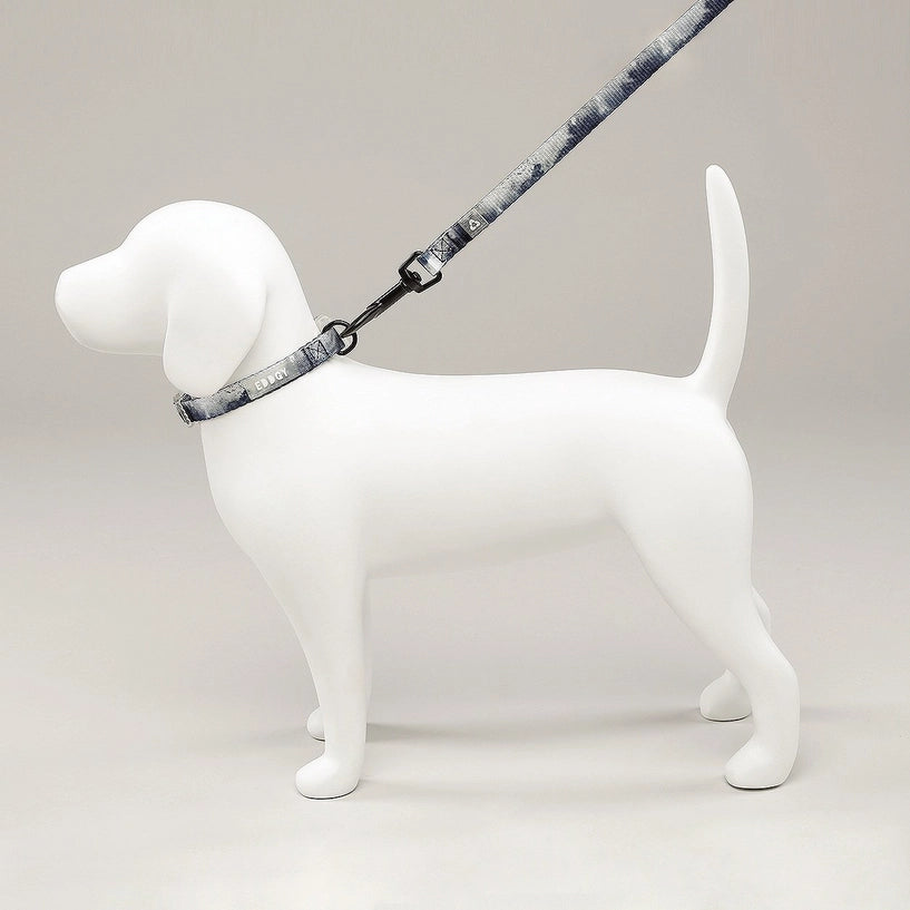 Eddgy Dog Collar - Skye