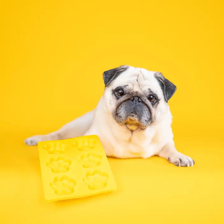 Paw Shaped Mould