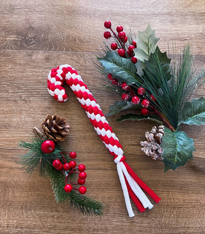 Muttsie Christmas Dog Toys