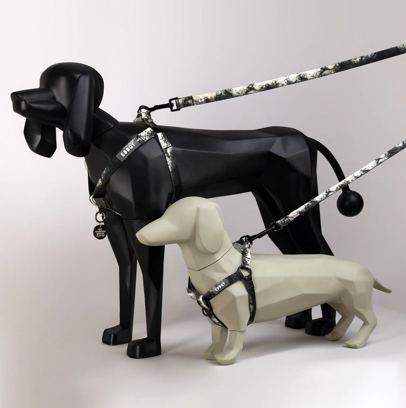 Eddgy Dog Harness - Loki