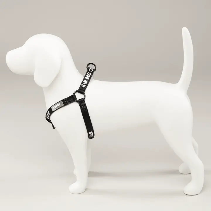 Eddgy Dog Harness - BDC