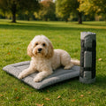 Travel Bed