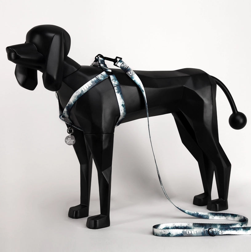 Eddgy Dog Harness - Skye