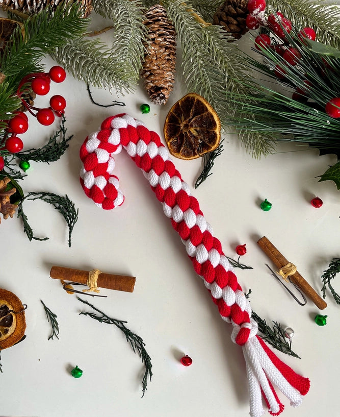 Muttsie Christmas Dog Toys
