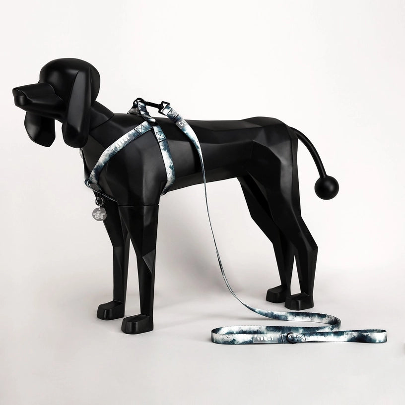 Eddgy Dog Lead - Skye