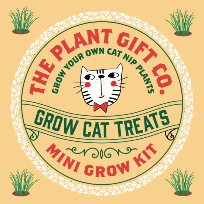 Grow Your Own Cat Treats