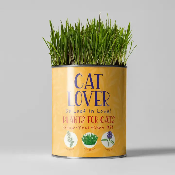 Cat Lovers Plant Kit