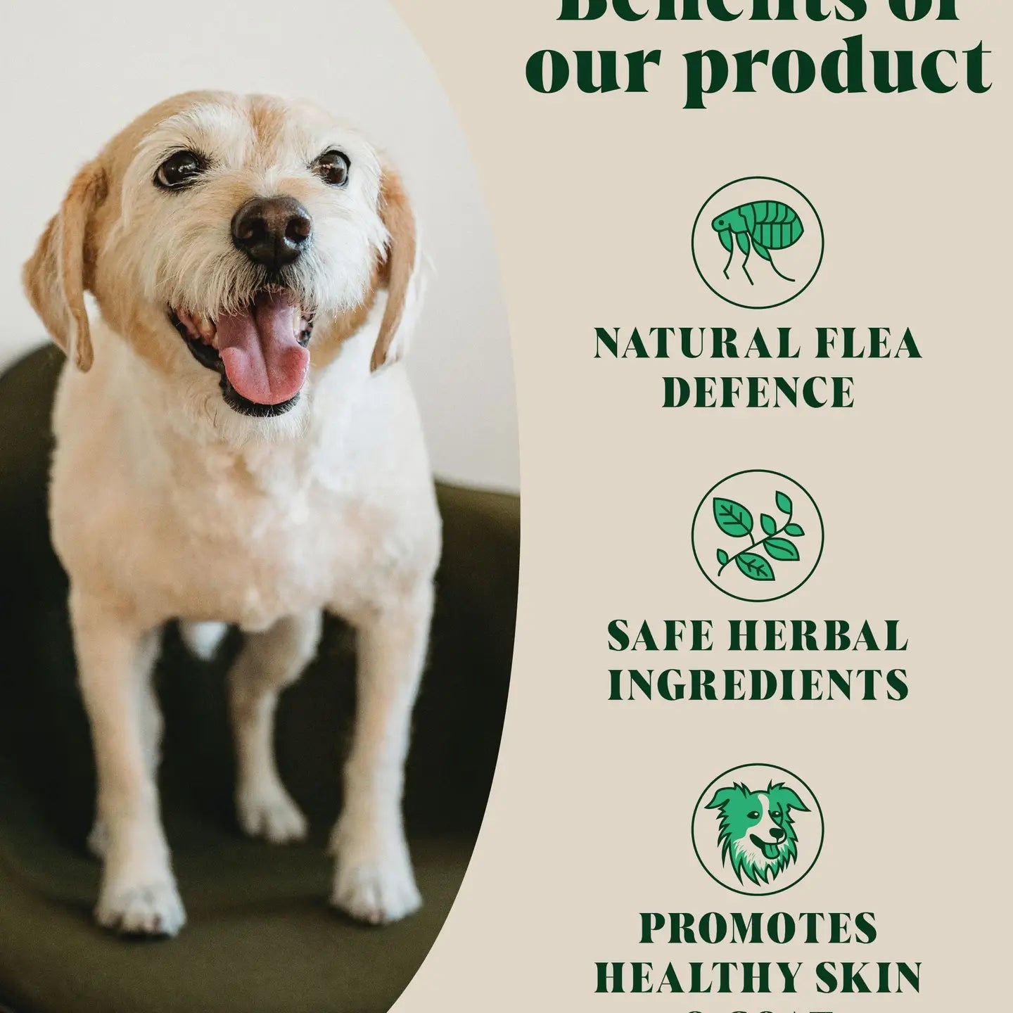 Natural Flea and Tick Powder For Dogs | Herbal Repellent