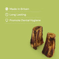 Marrow Bone - Hollow