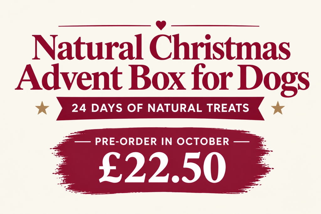 The Dog Christmas Advent Box (Pre Order)
