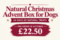 The Dog Christmas Advent Box (Pre Order)