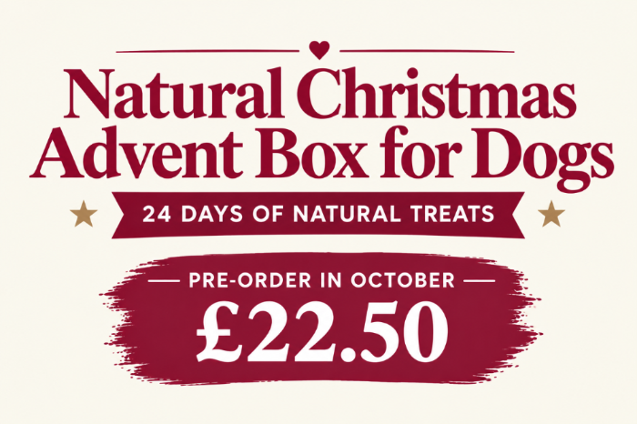 Promotional graphic for a 'Natural Christmas Advent Box for Dogs' with text reading '24 DAYS OF NATURAL TREATS' and 'PRE-ORDER IN OCTOBER £22.50' on a cream background.