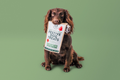 Make Your Own Christmas Dog Treats