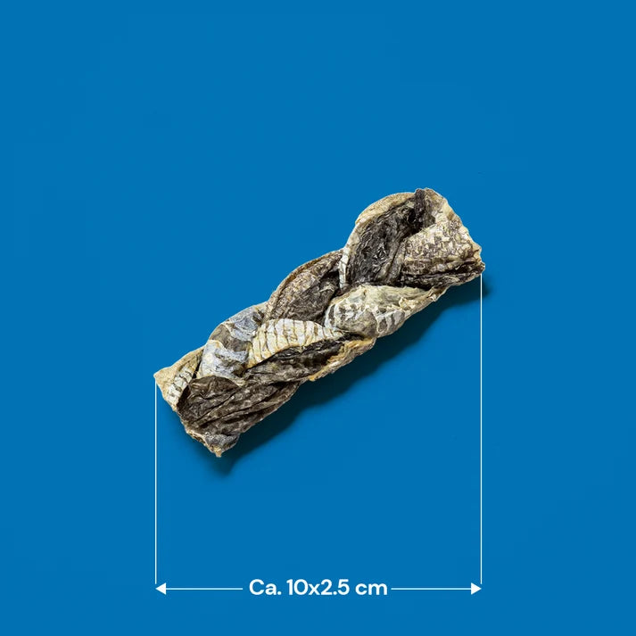 Fish Skin Braid