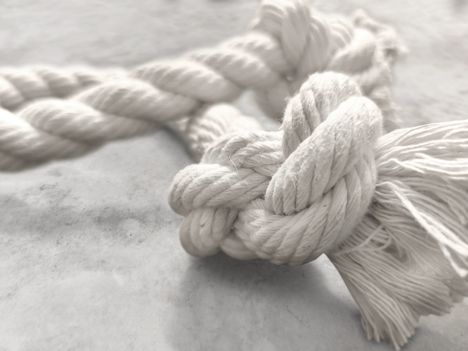XL Pulley - Natural Cotton Rope Toy