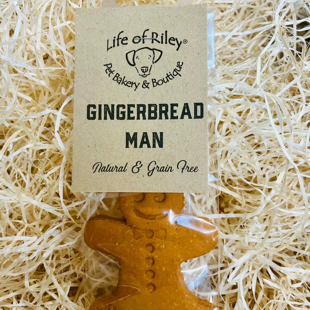 Gingerbread Man Dog Biscuit