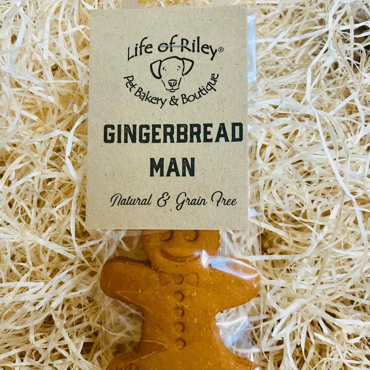 Gingerbread Man Dog Biscuit