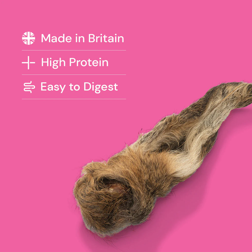 Hairy Venison Ear
