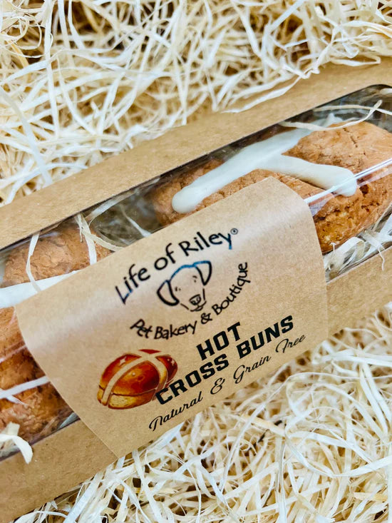 Dog Hot Cross Bun Box