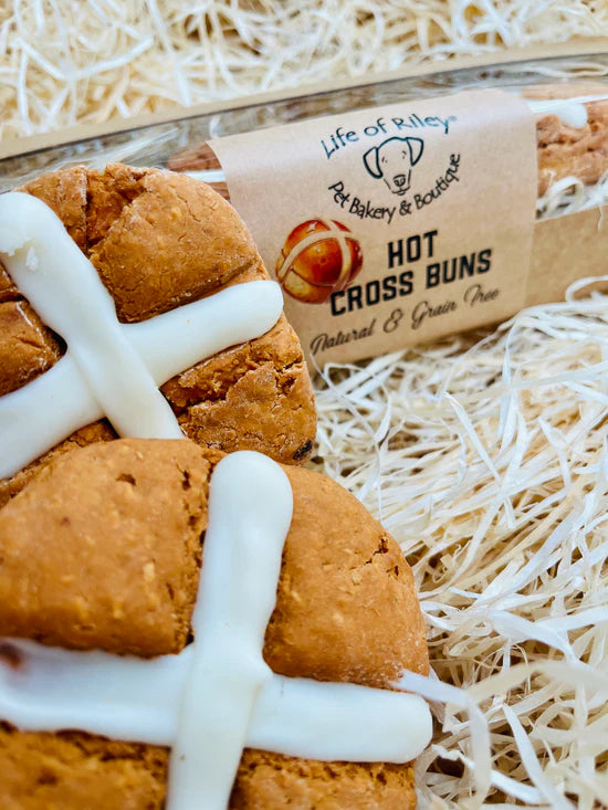 Dog Hot Cross Bun Box