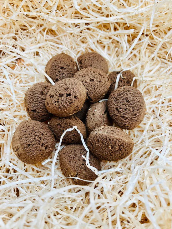 Dog Easter Egg Hunt Kit
