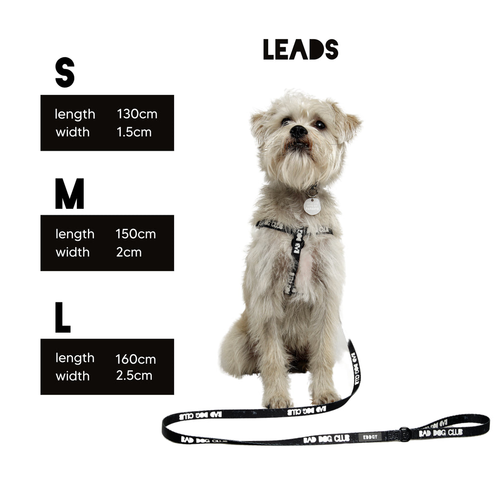 Eddgy Dog Lead - BDC