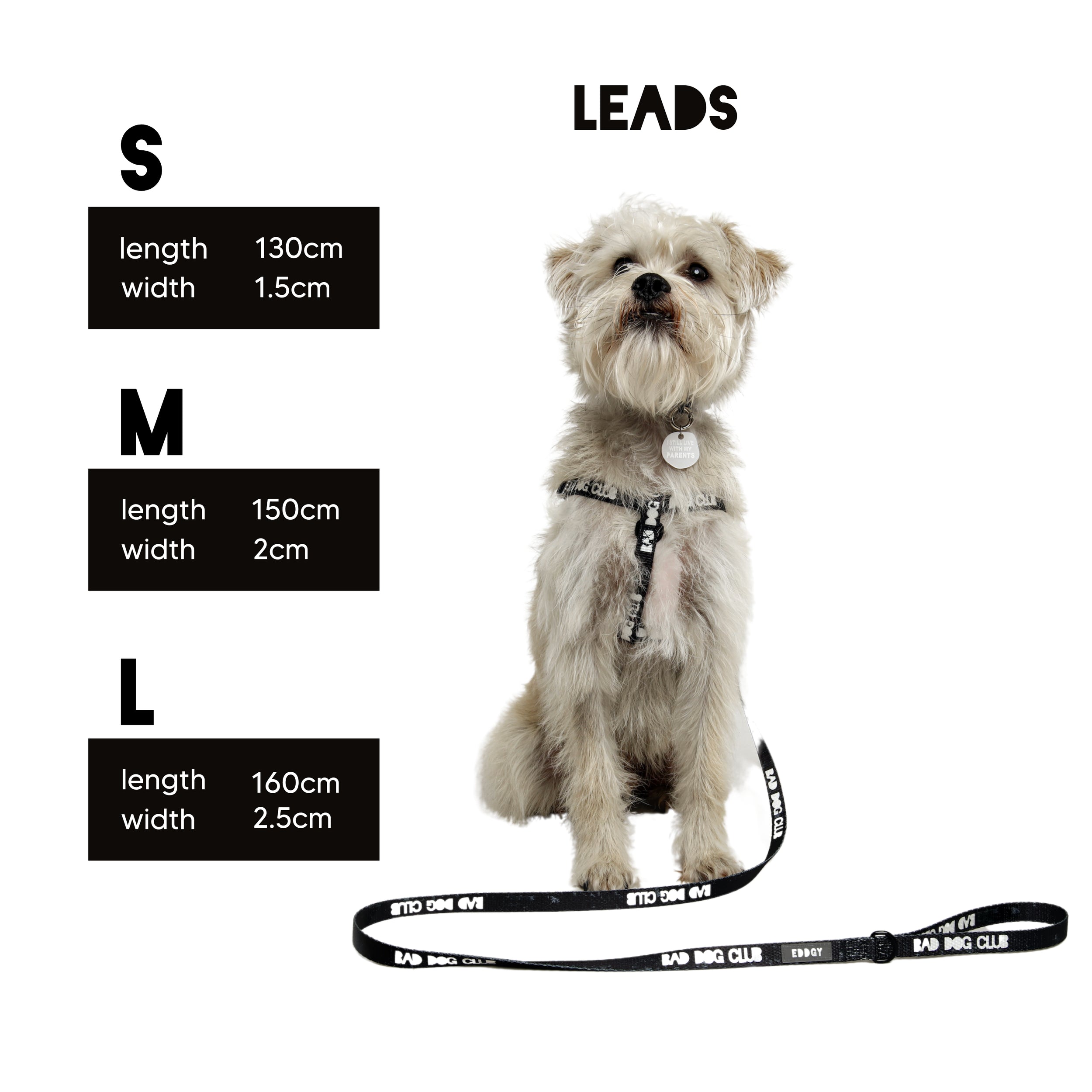 Eddgy Dog Lead - Maximus