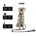 Eddgy Dog Lead - Skye
