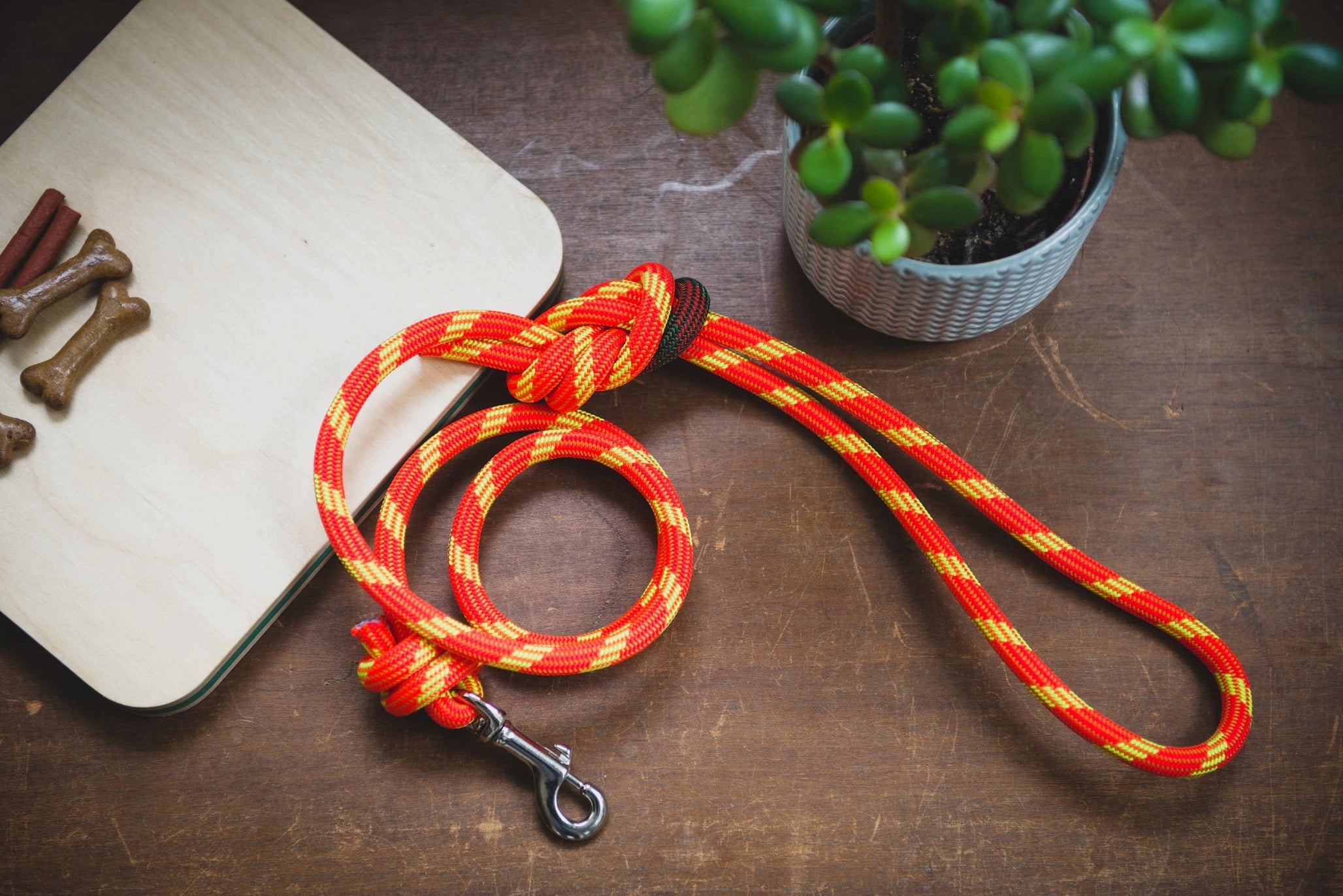 Climbing Rope Dog Leash