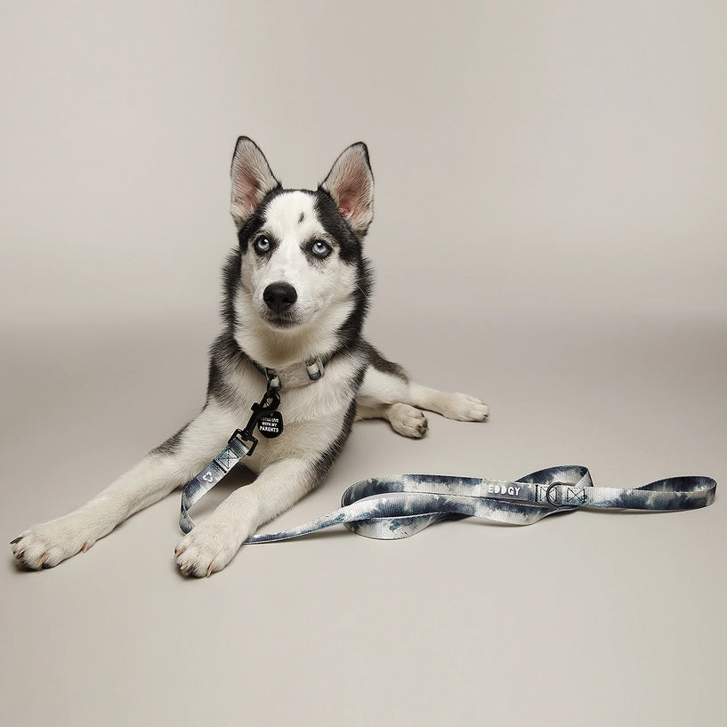 Eddgy Dog Lead - Skye