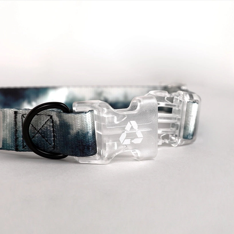 Eddgy Dog Collar - Skye