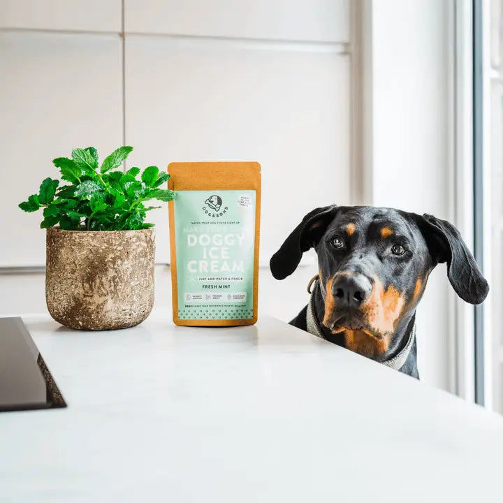 Make Your Own Doggy Ice Cream