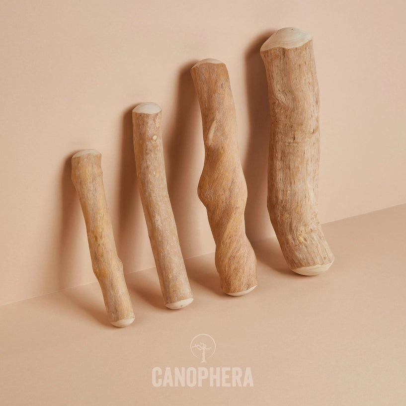 Coffee Wood - Canophera