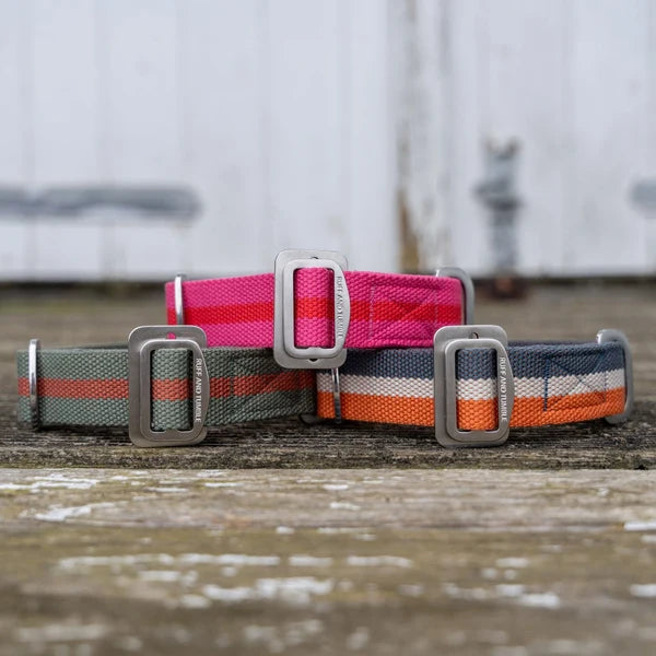 All-Terrain Canvas Collar