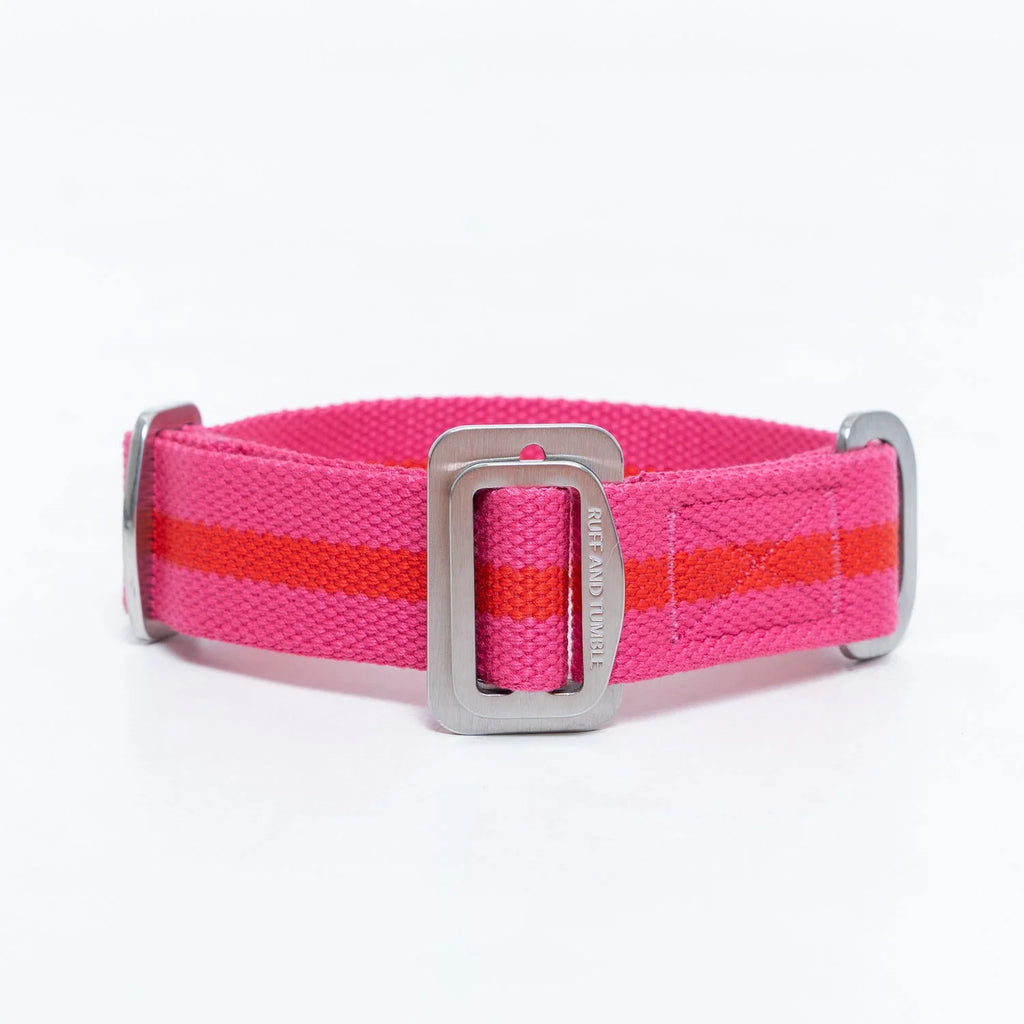 All-Terrain Canvas Collar
