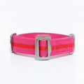 All-Terrain Canvas Collar