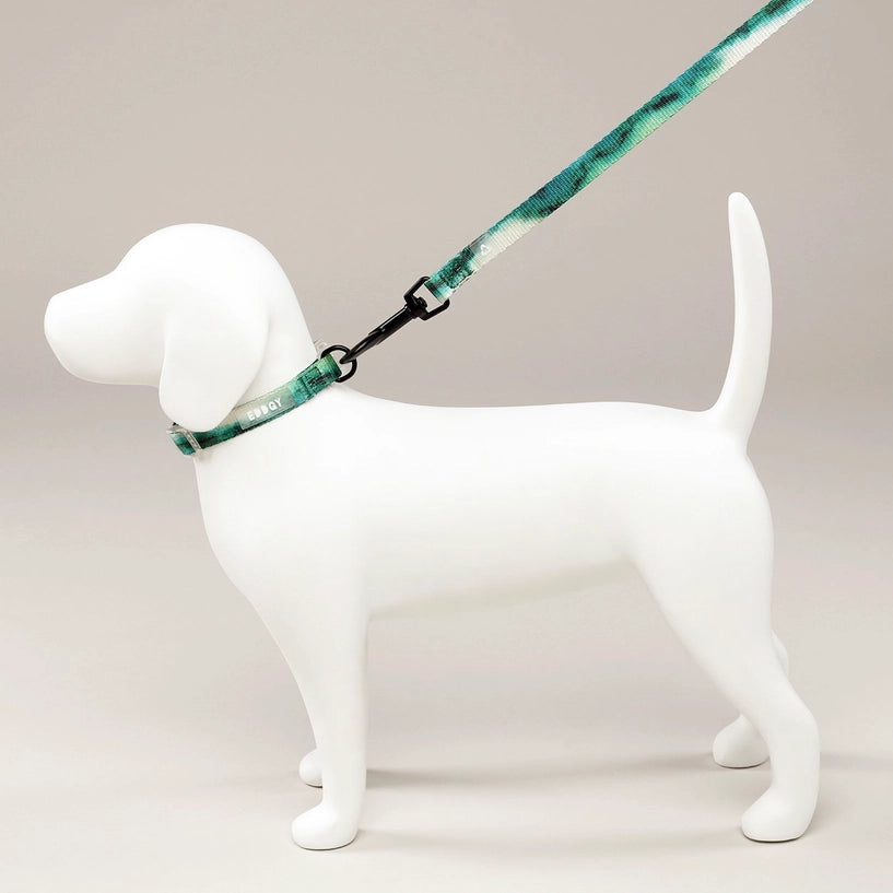 Eddgy Dog Collar - Maximus