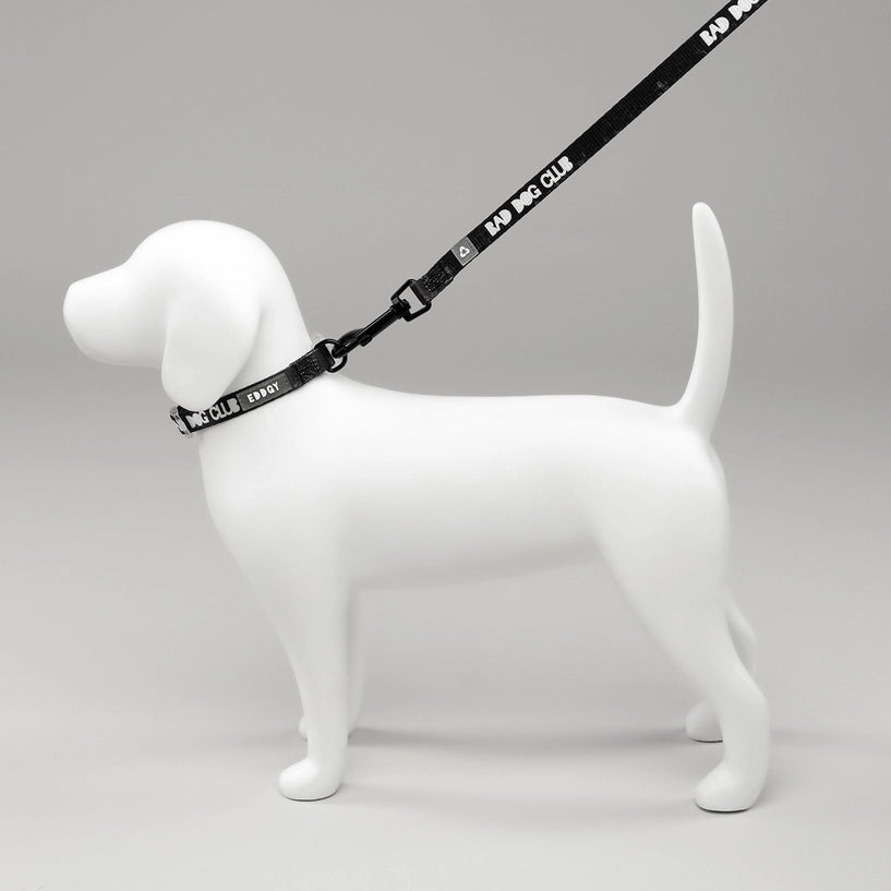 Eddgy Dog Lead - BDC