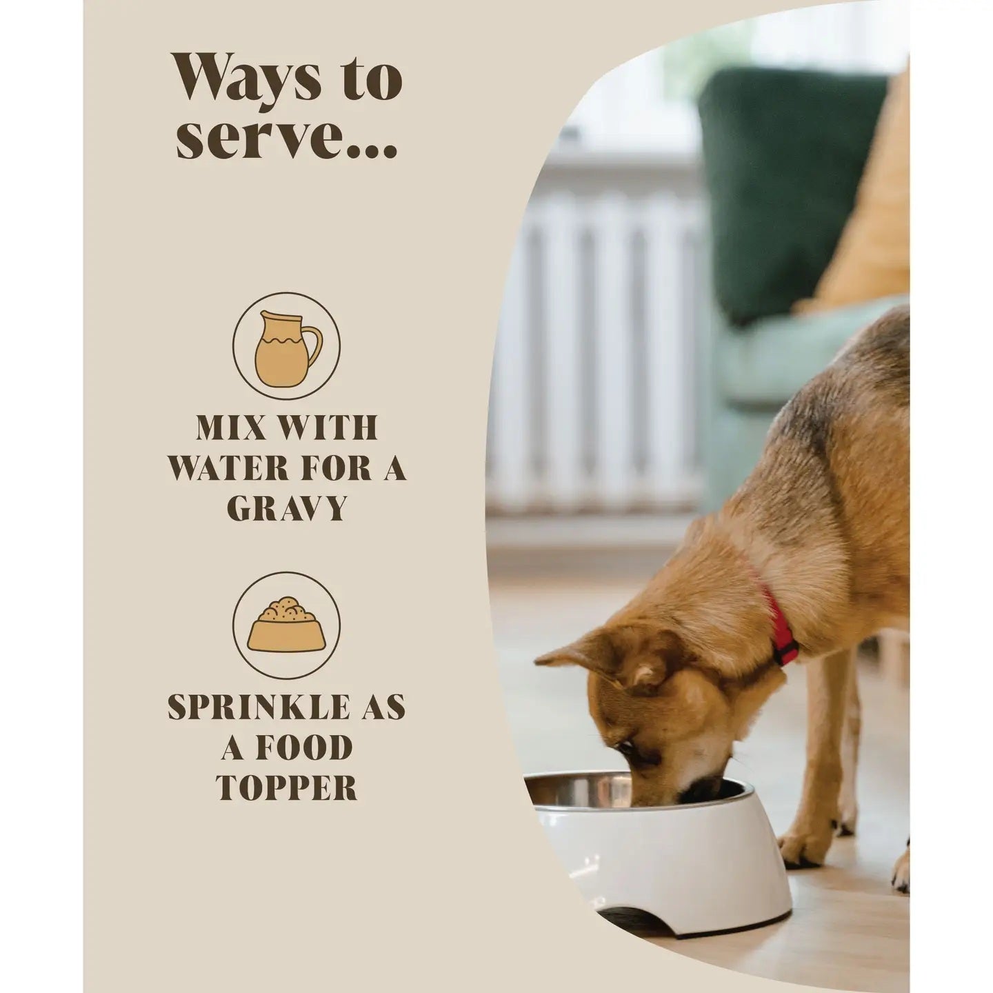 Bone Broth For Dogs
