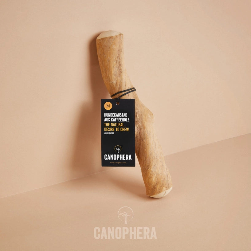 Coffee Wood - Canophera