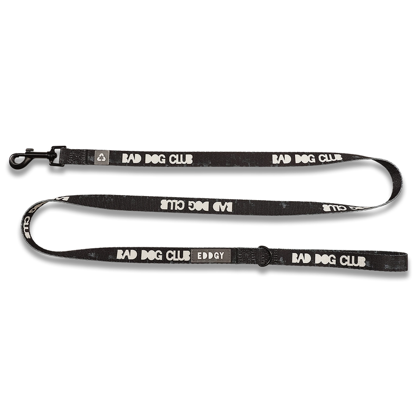 Eddgy Dog Lead - BDC