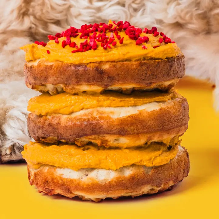 Make Your Own Dog Cake