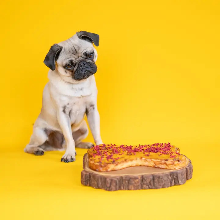 Make Your Own Dog Cake