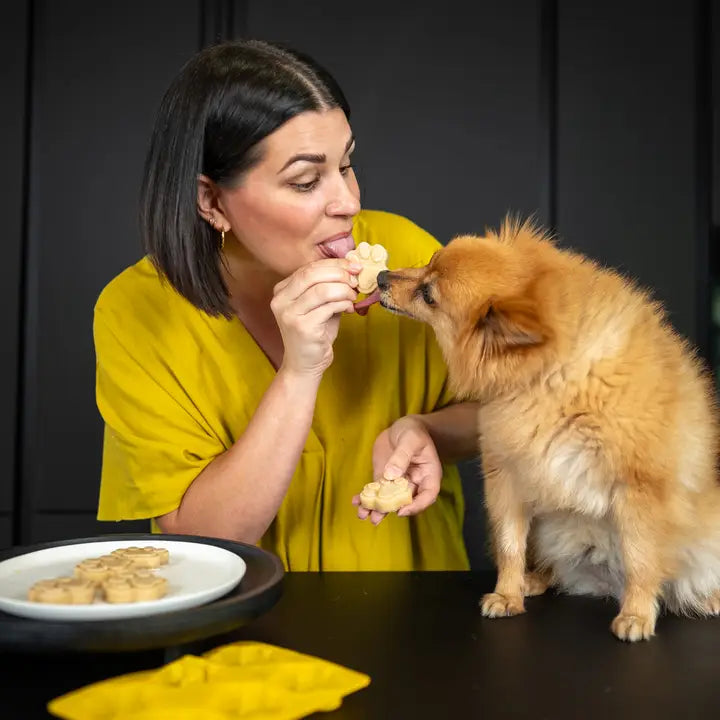 Doggy Ice Cream Kit with Mould