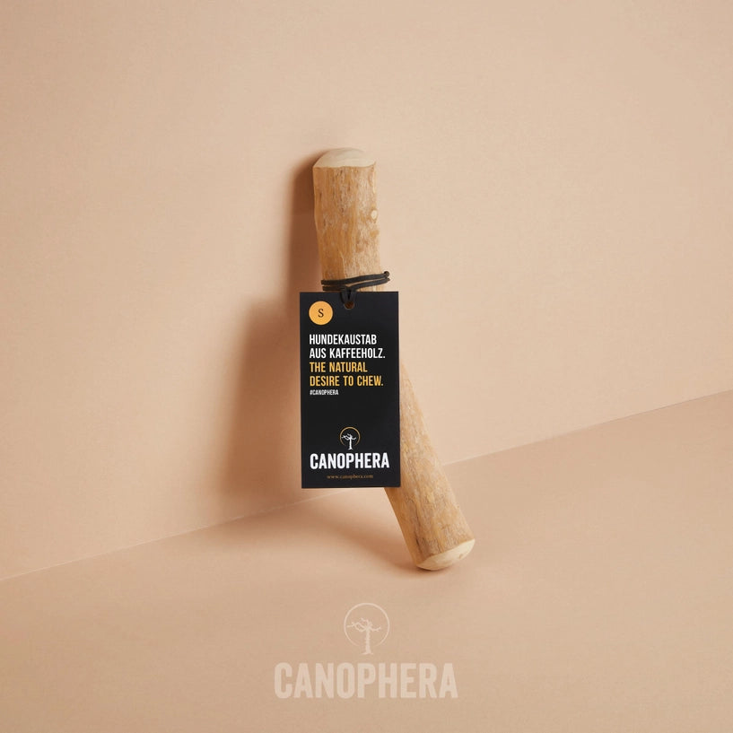 Coffee Wood - Canophera