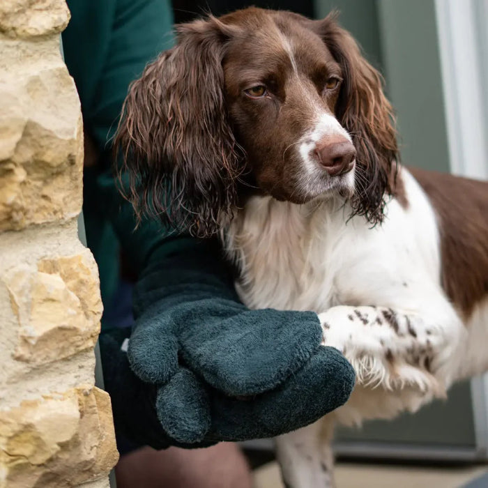 Dog Drying Mitts