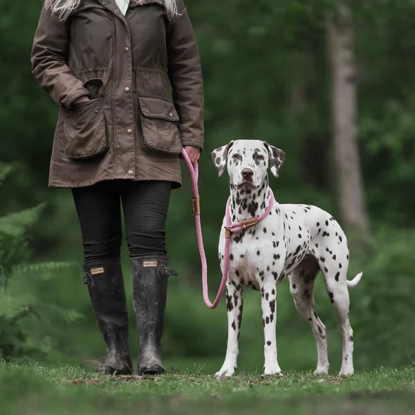 Ruff & Tumble Slip Lead